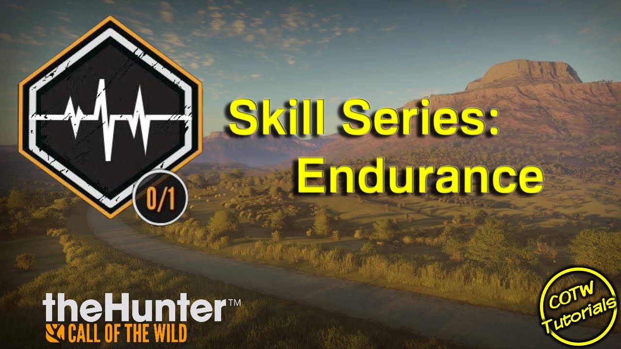 Endurance Skill