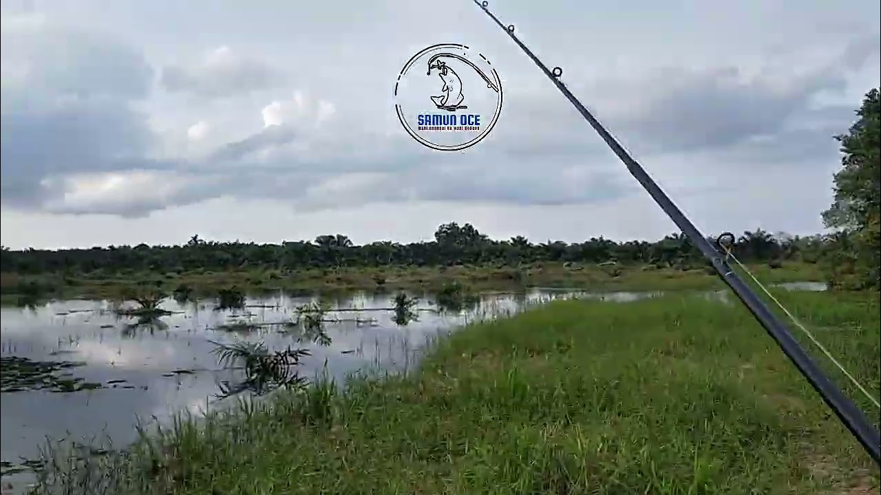 Spot terindah untuk para pemancing gabusan!!