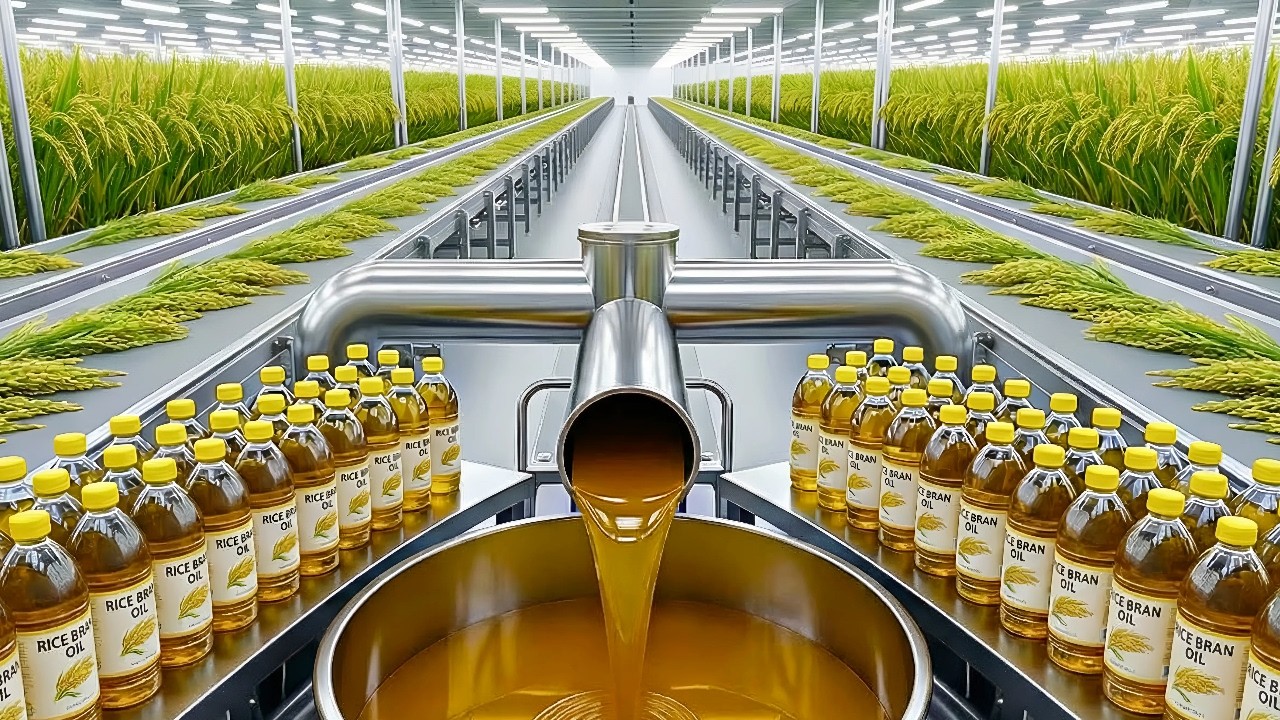Inside the Rice Bran Oil Factory &ndash; The Untold Process Behind a Billion-Dollar Industry!
