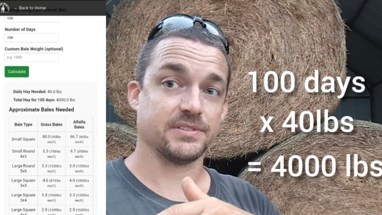 How much hay do goats need? - Goat Math