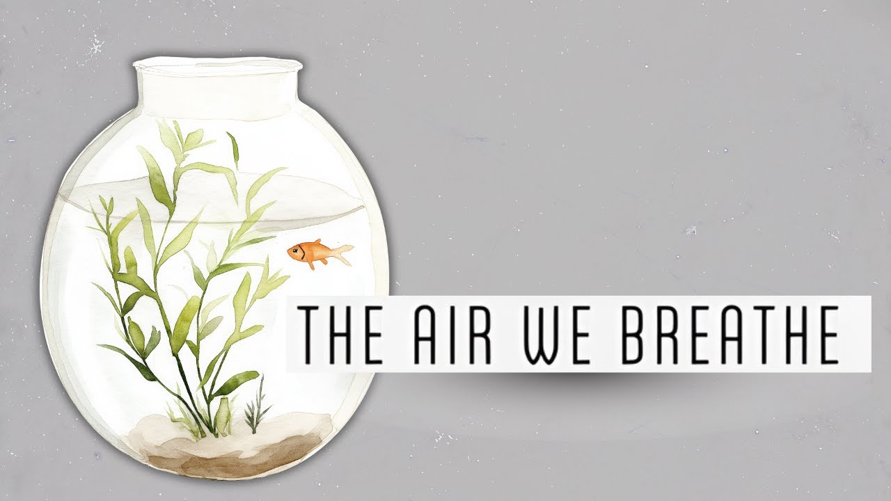 «Believe in Me - The Air We Breathe» - 18 января 2026 г. - Энди Лэшли