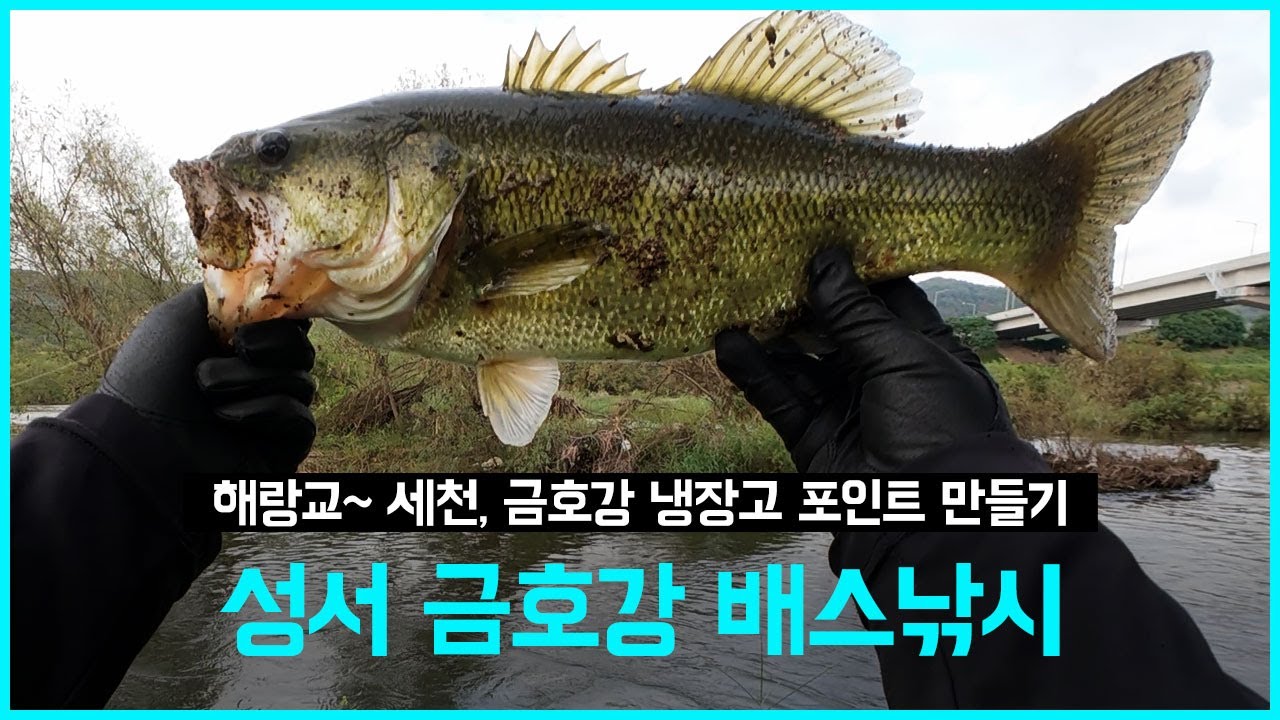 [배스낚시] 대구 성서 금호강 