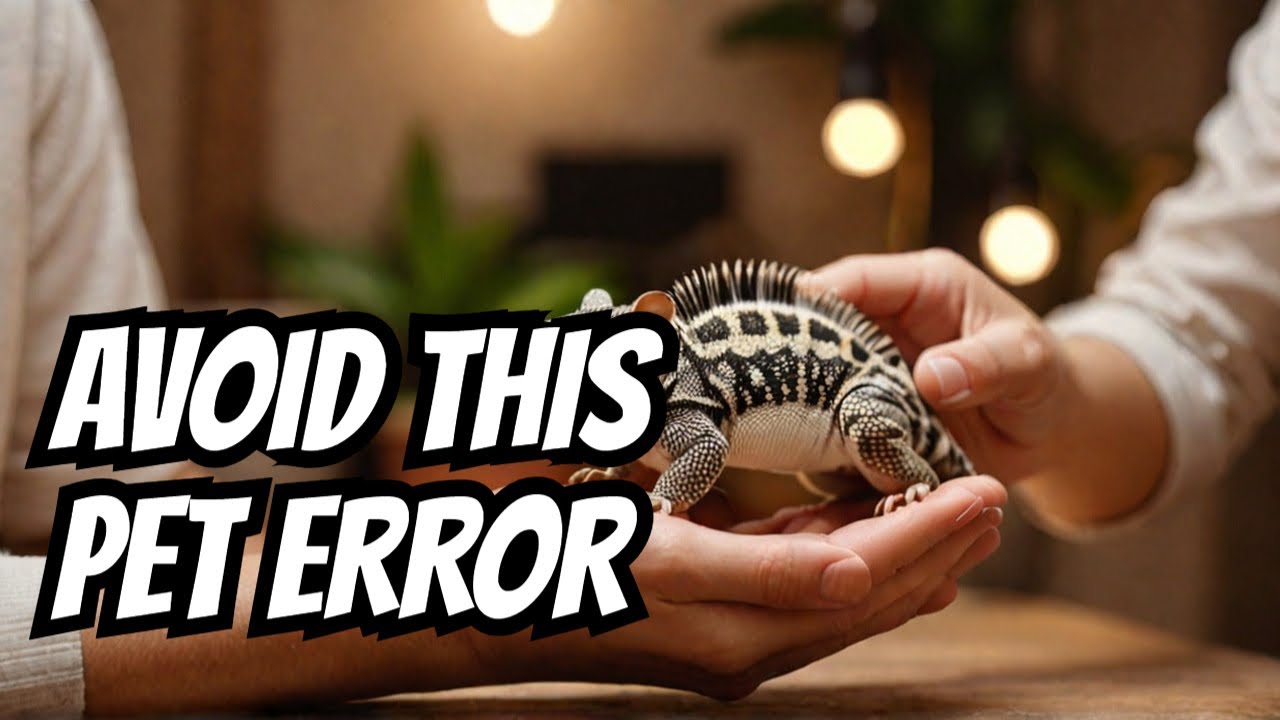 The EXOTIC PET Care Mistake You're Probably Making