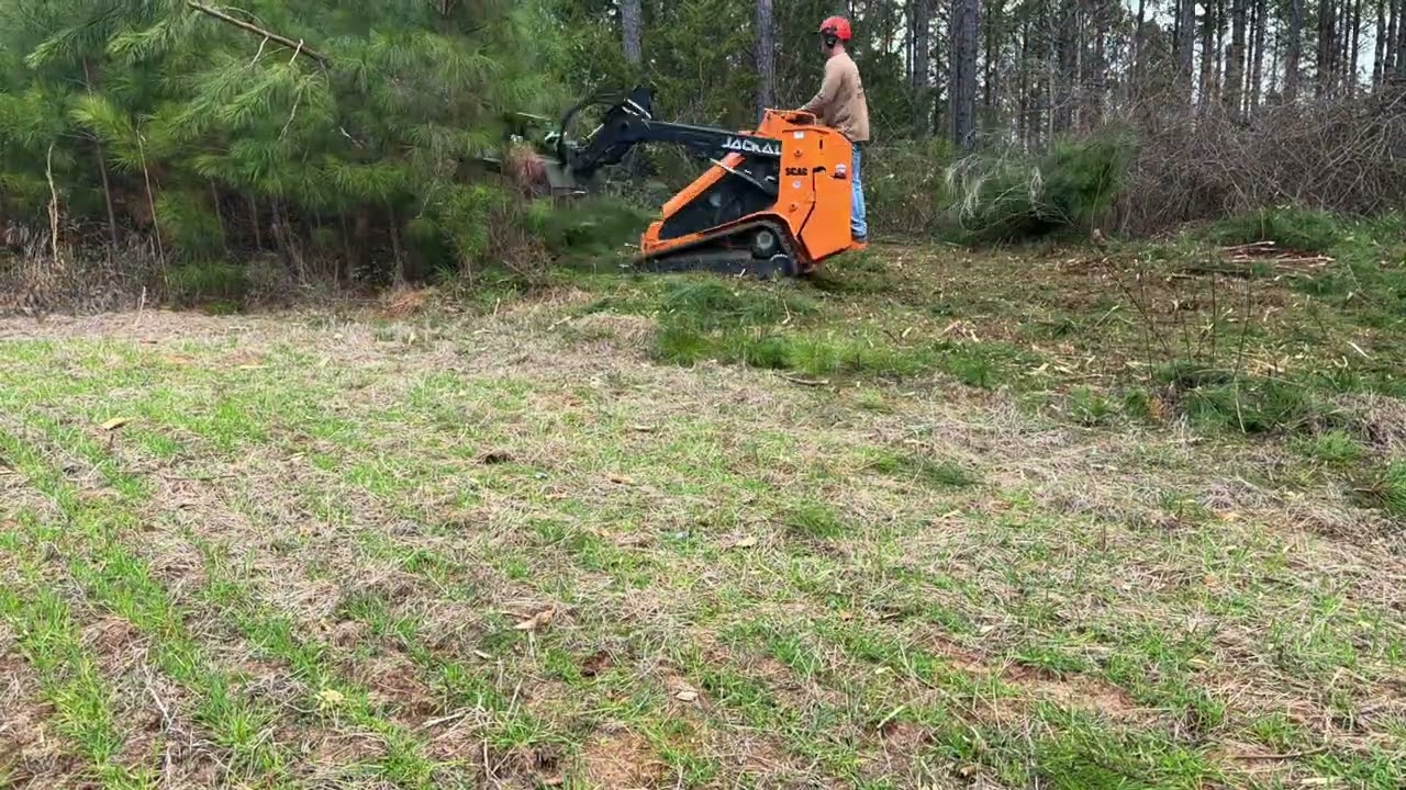 Food Plot Expansion 