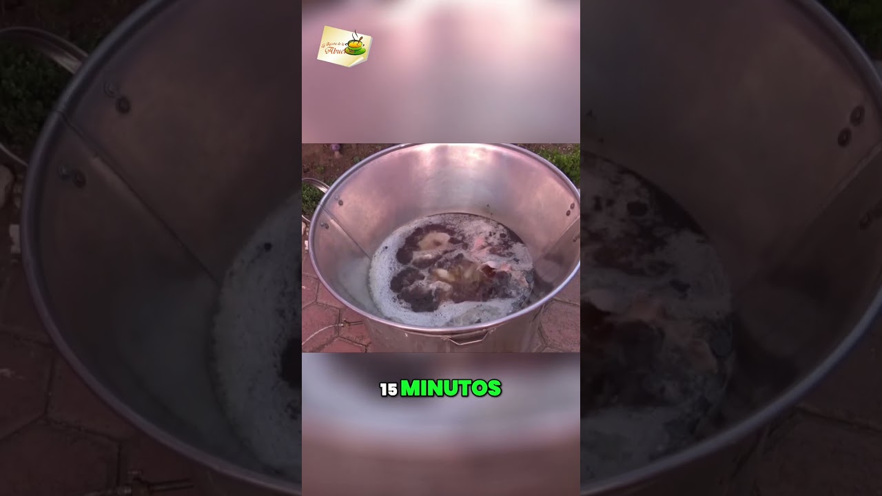 &iexcl;Prepara una deliciosa receta de buche de cerdo!