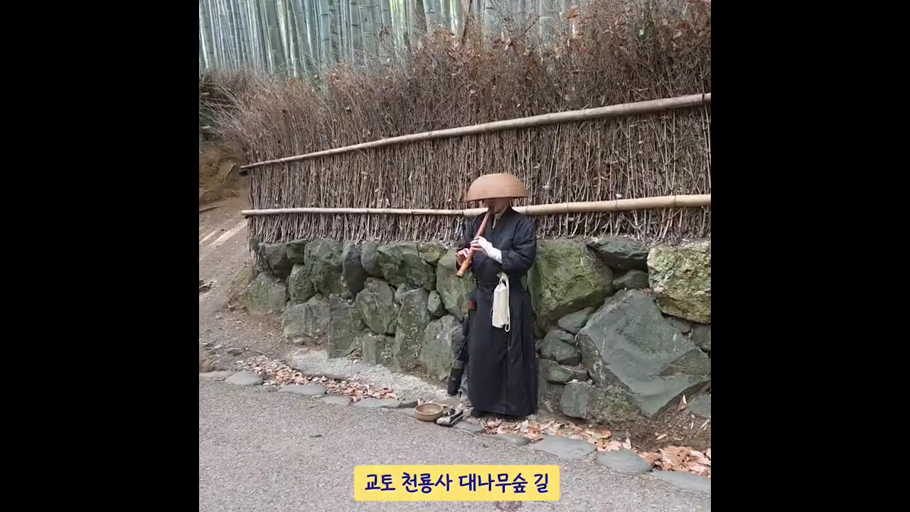 교토 #천룡사 선원 정원