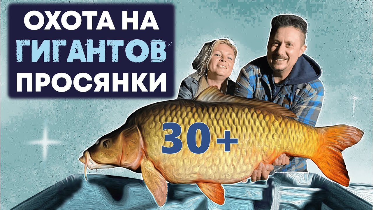 Карп 30+. Охота на гигантов Просянки вместе с Mad Carp. Фильм.