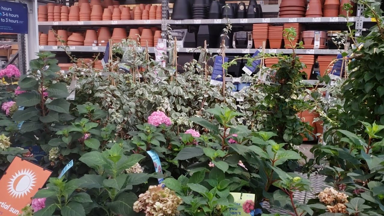 LOWES INVENTORY SHOPPING + KIMBERLY FERNS + OBELISK + PLANTING A TRIO OF CONTAINERS // GARDEN QUEEN