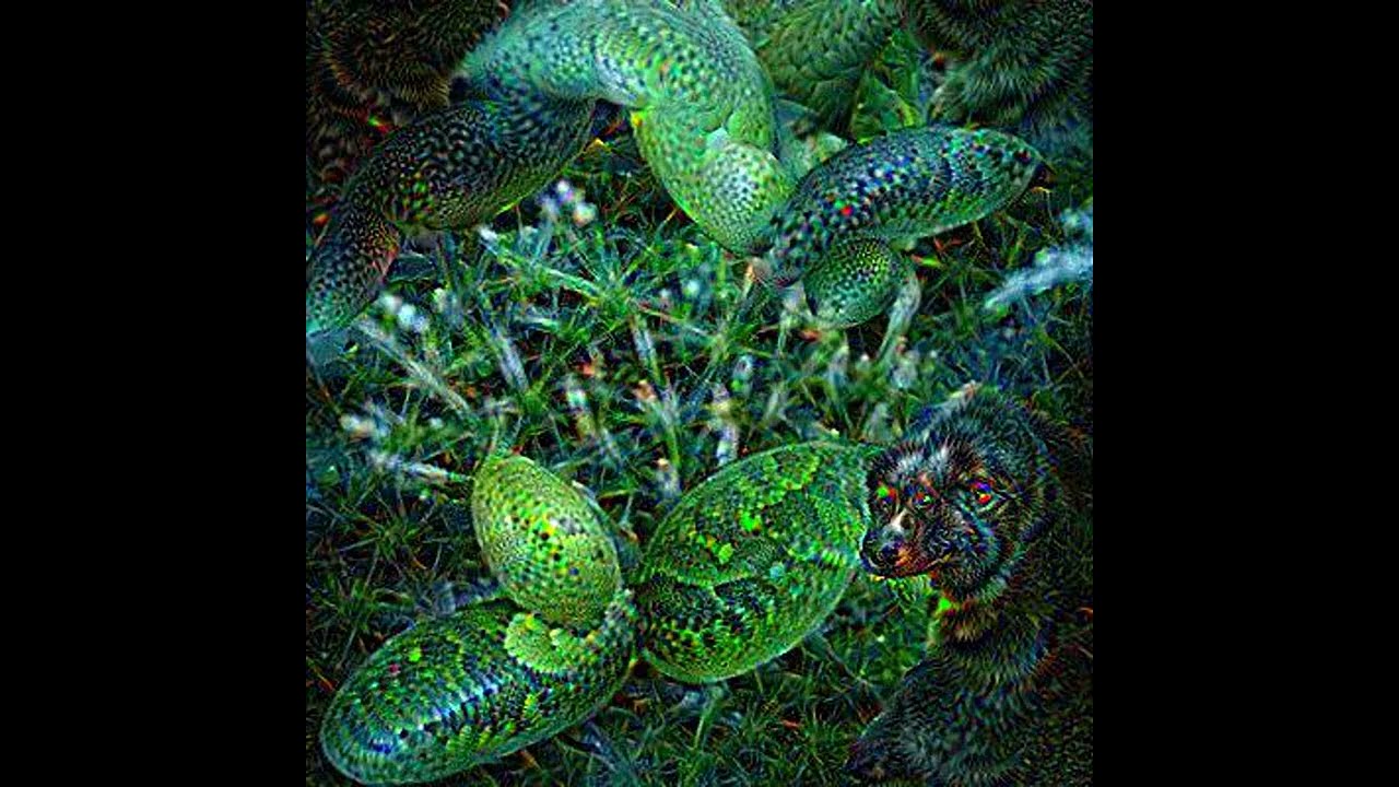 Deep Learning Generative Image Collection [READ DESCRIPTION]