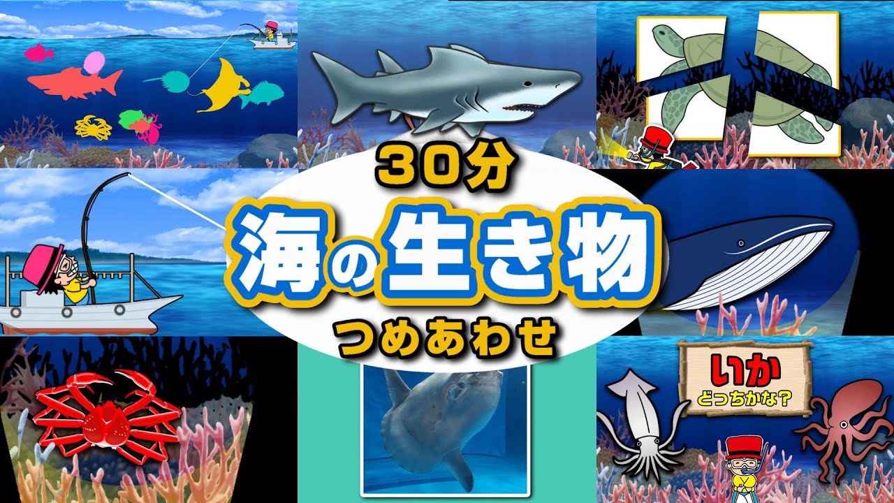 【子供が喜ぶ水族館】海の生き物アニメ詰め合わせ30分！お魚さんたちが大集合！さかなの名前ずかん★クジラ・イルカ・マンボウ・たこ・カメ・ペンギン★未就学児向け教育｜Fish気分はスキューバダイビング♪