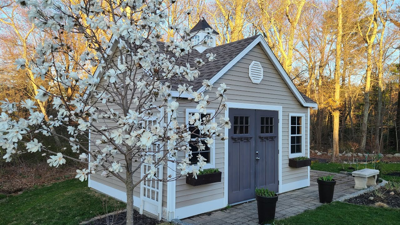 Early Spring Garden Tour! April 2022 in Zone 6B. Magnolia Tree, Daffodils, Pieris, Candy Corn Spirea