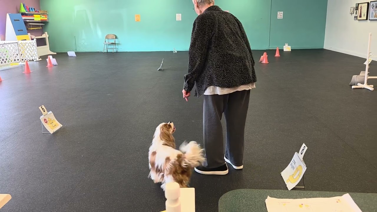 Bobby and Lilly 3/10 RAV-4