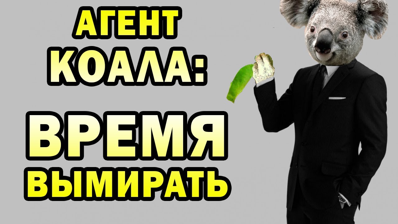 Почему коалы должны вымереть