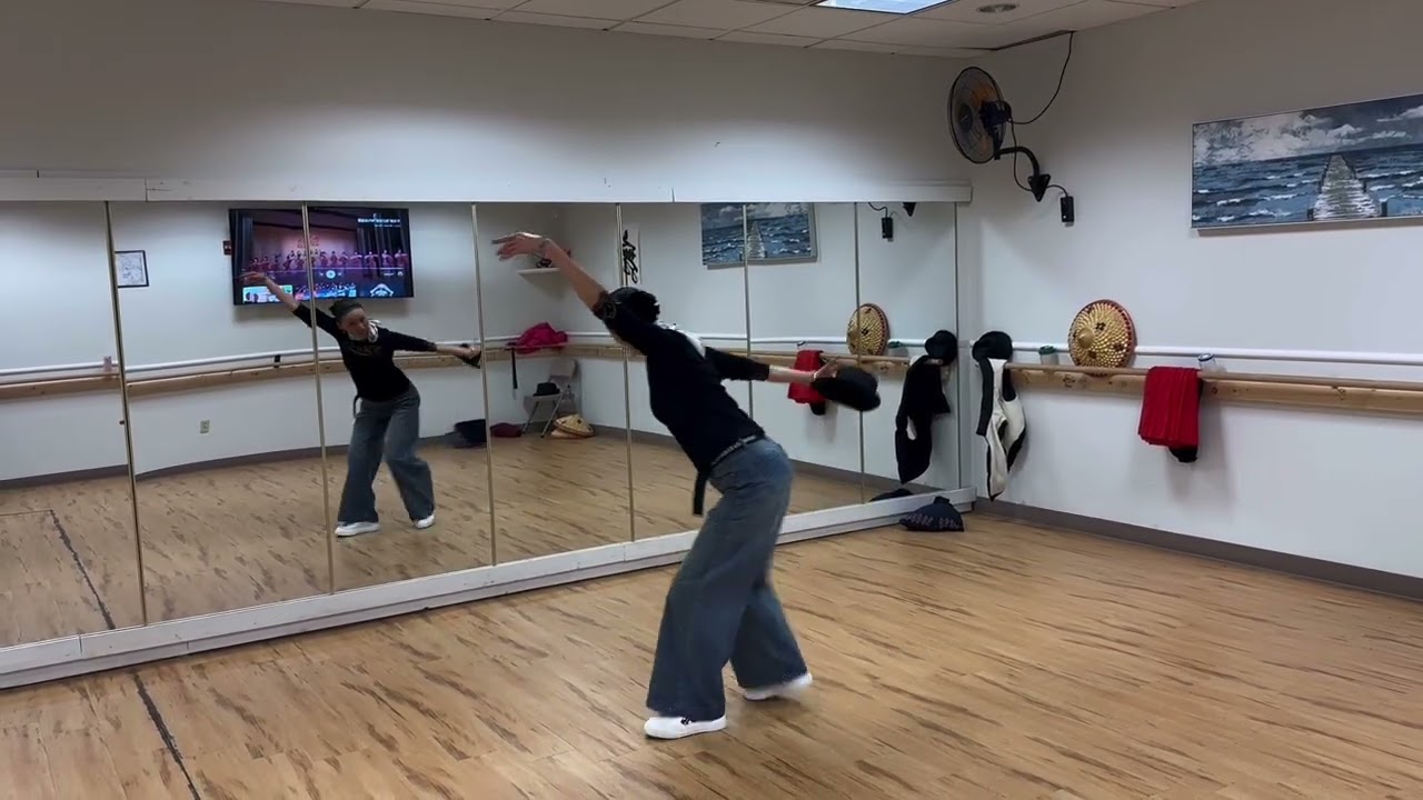 张老师“山情歌”教学视频（8、9）
