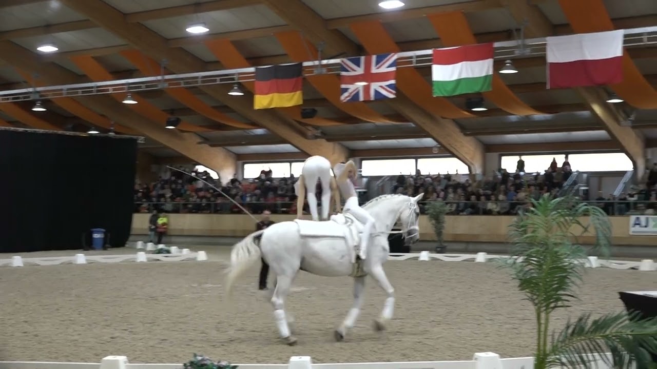 Arne Heers and Mia Bury final freestyle