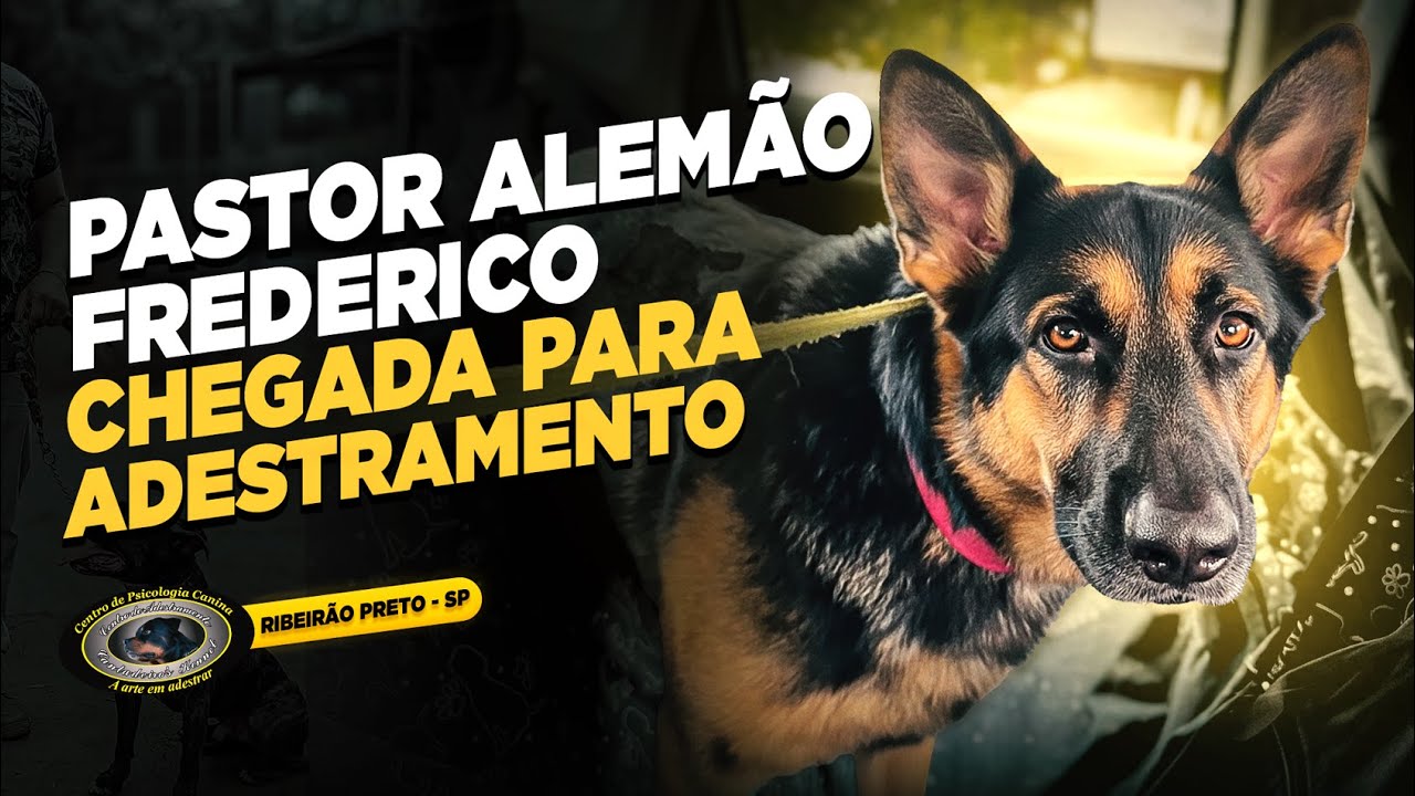 PASTOR ALEMÃO — FREDERICO — SEM DIREÇÃO, SEM CONTROLE