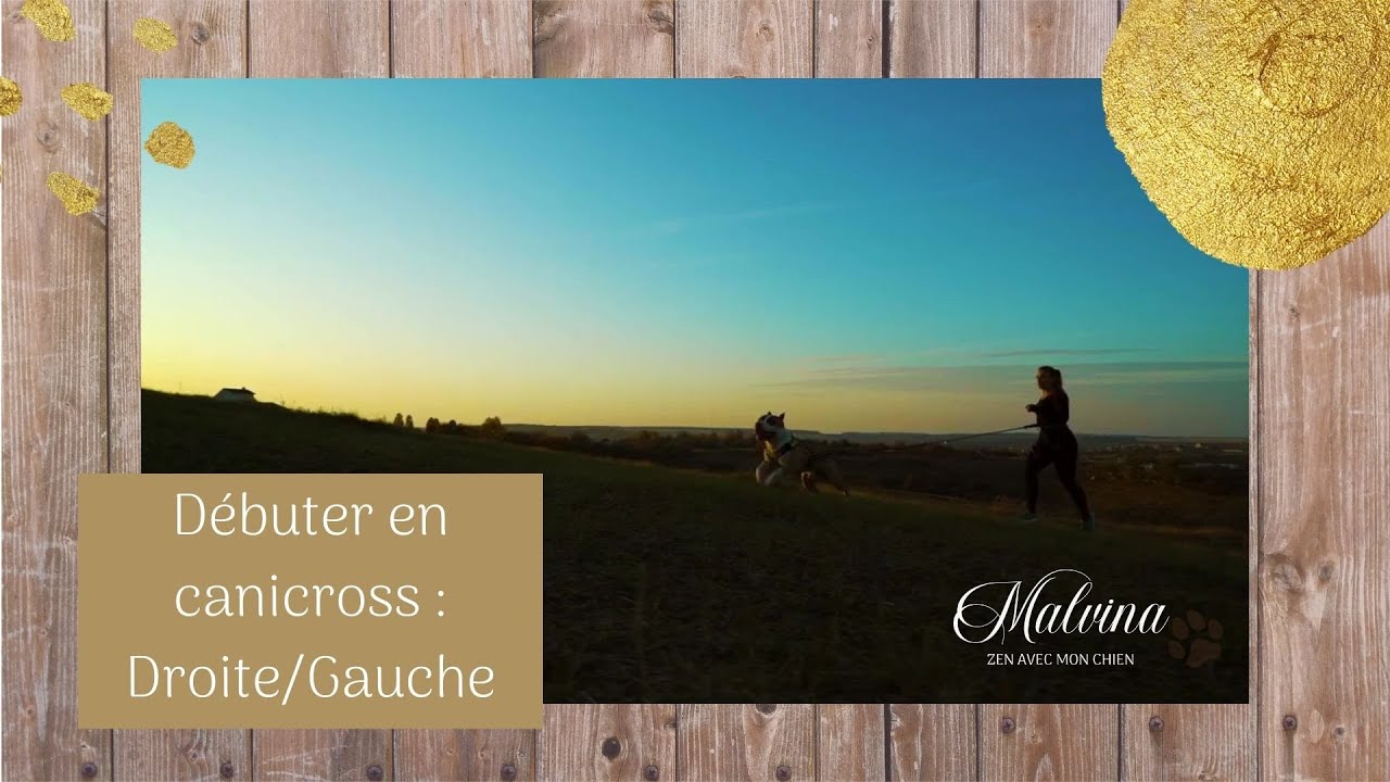 Débuter en canicross  : droite/gauche