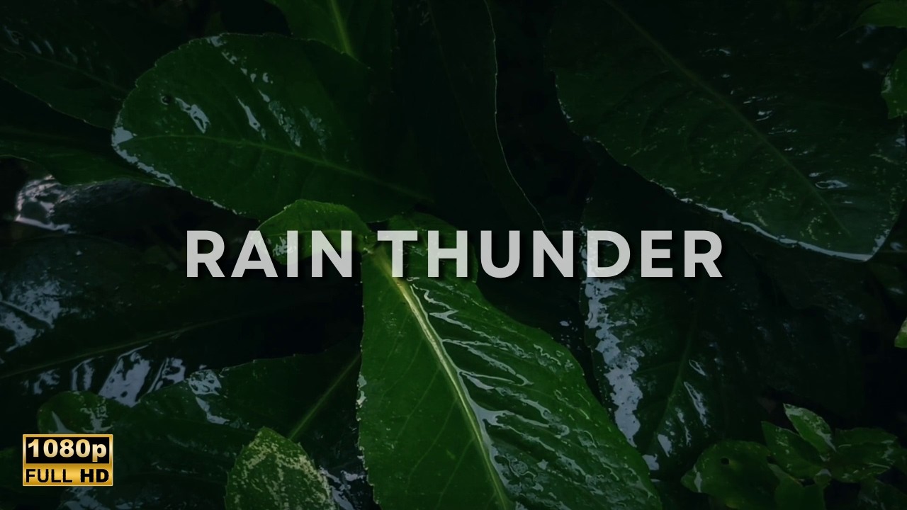 Heavy Rain and Thunder for Deep Sleep | Instant Relaxation