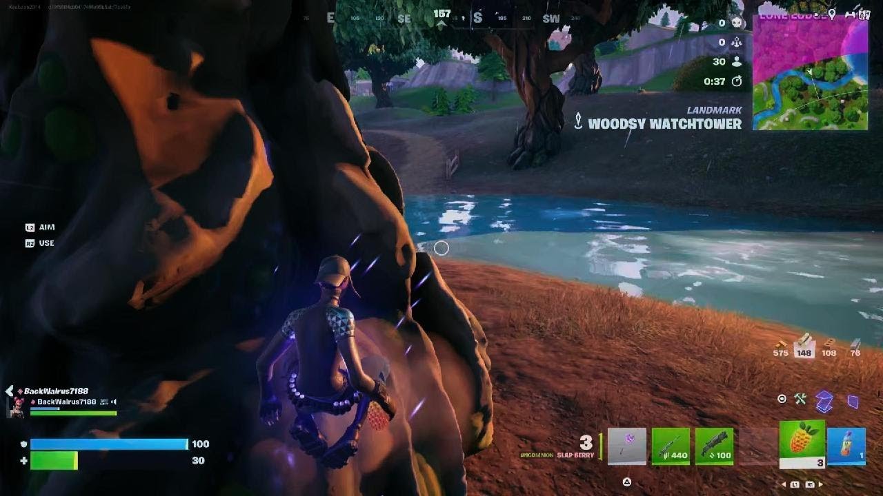 Fortnite