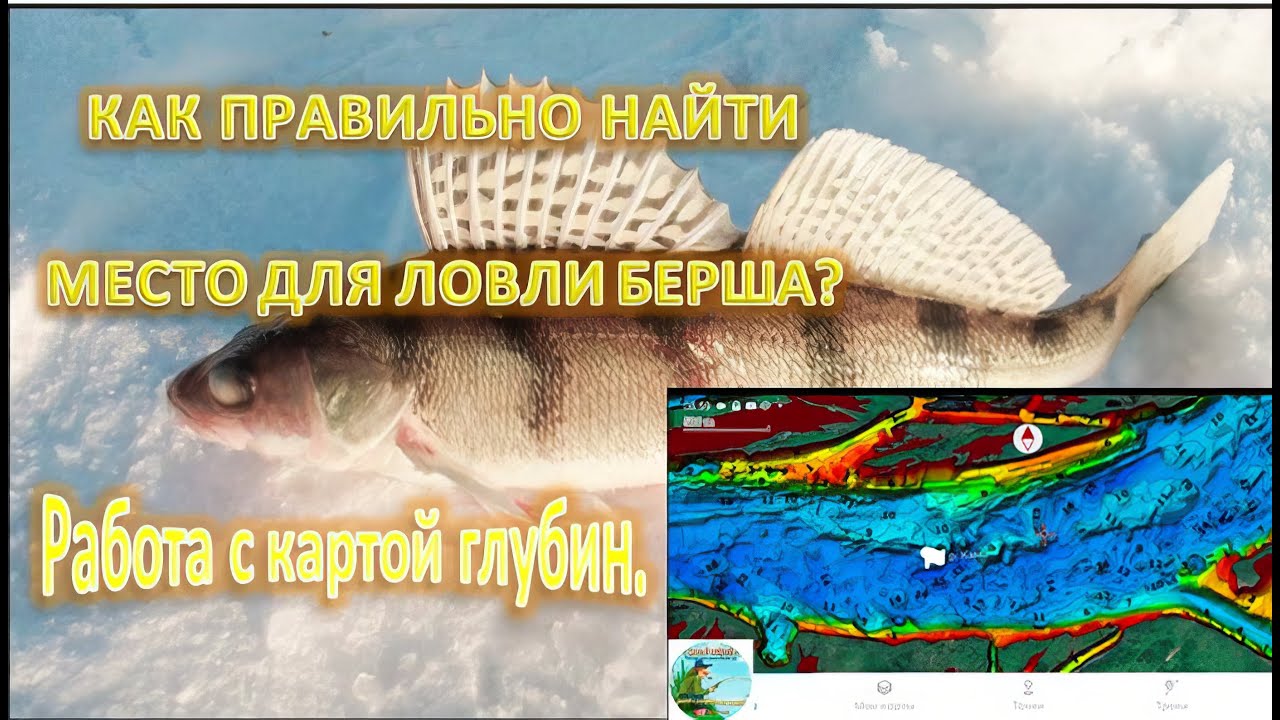 Работа с картой глубин. Как правильно найти место для ловли Берша?