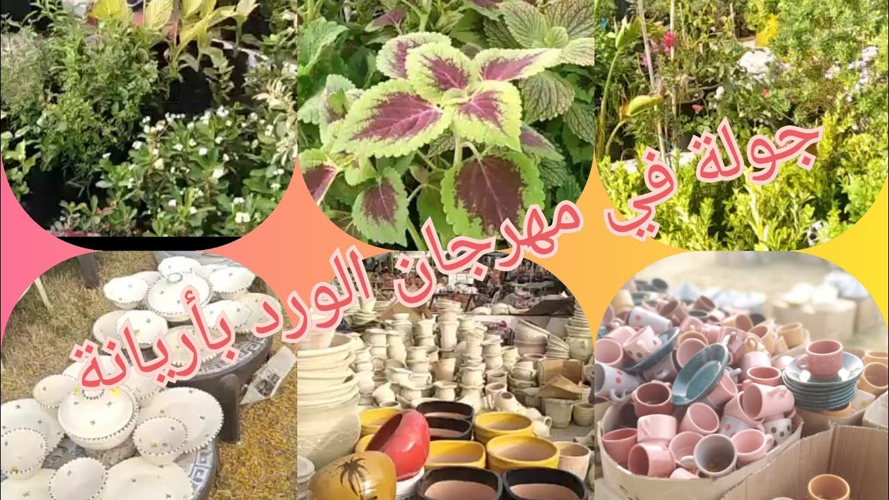 💕 فيديو اليوم 💖 جولة في مهرجان الورد بأريانة 🎄