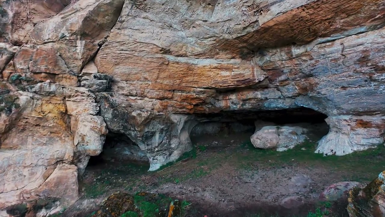 весеннее пробуждение