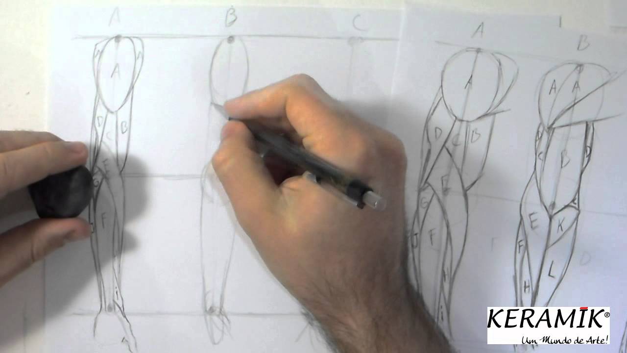 Como desenhar: Mulheres - Braços parte 1 - Músculos Simplificados
