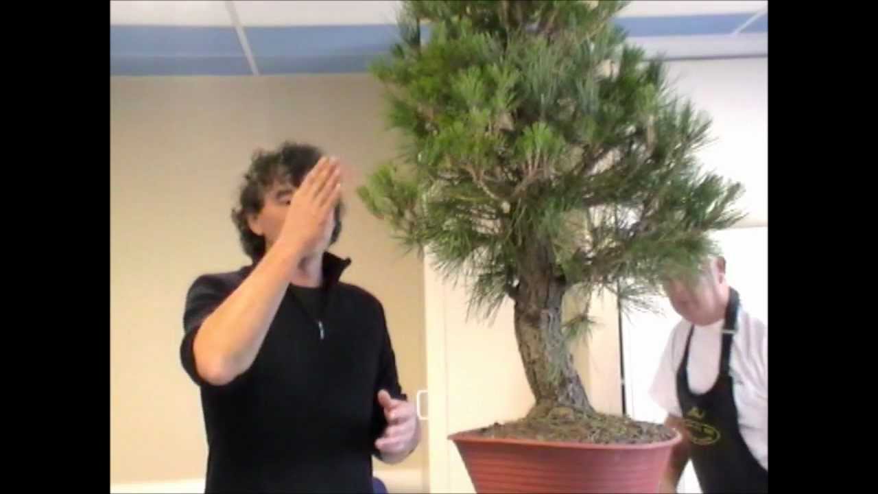 L'arbre et le geste novembre 2011 &eacute;pisode 1