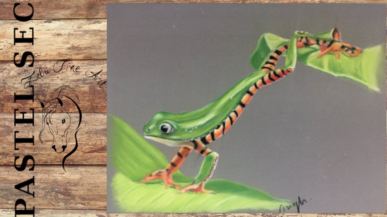 Comment dessiner une Grenouille au pastel sec