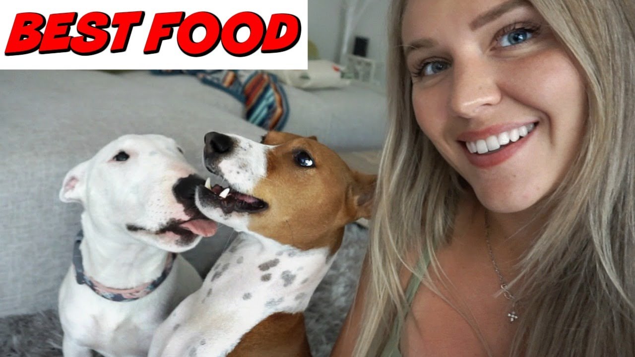 Best Dog Food: Feeding my Bull Terrier and Basenji