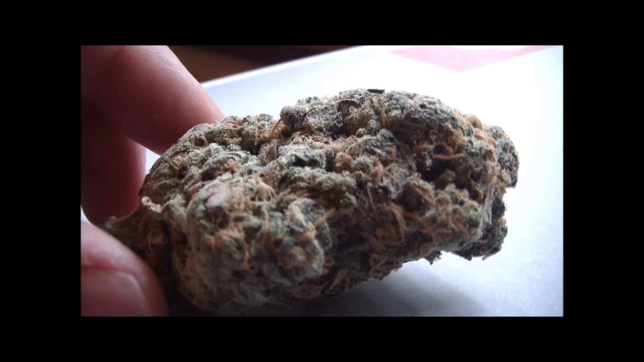 Grapefruit Diesel From SLY8585