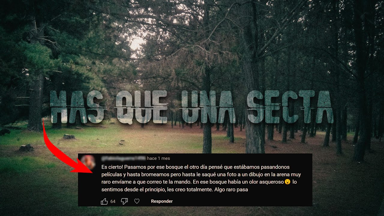 GRABARON UNA SECT4 EN PLAYA CHILENA PARTE #2 (TESTIMONIO DE CARABINERO)