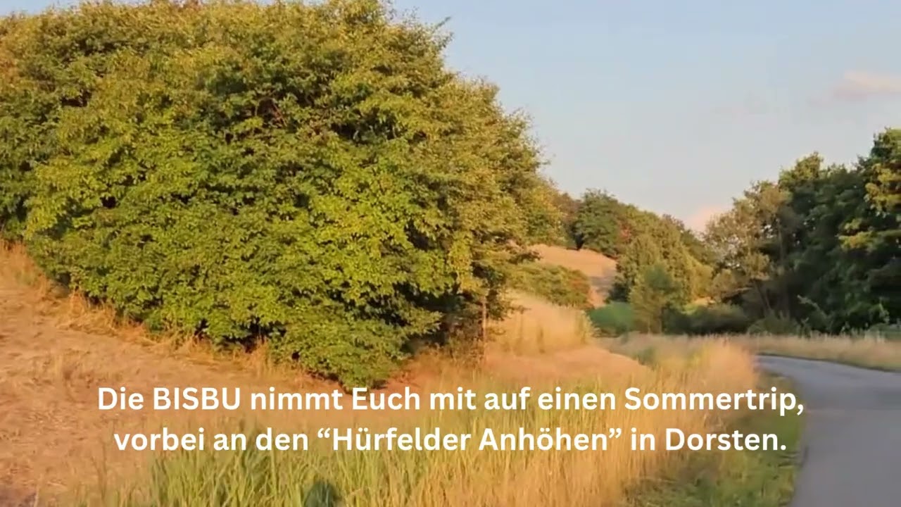 Sommertrip, vorbei an den &bdquo;H&uuml;rfelder Anh&ouml;hen&ldquo; in Dorsten.