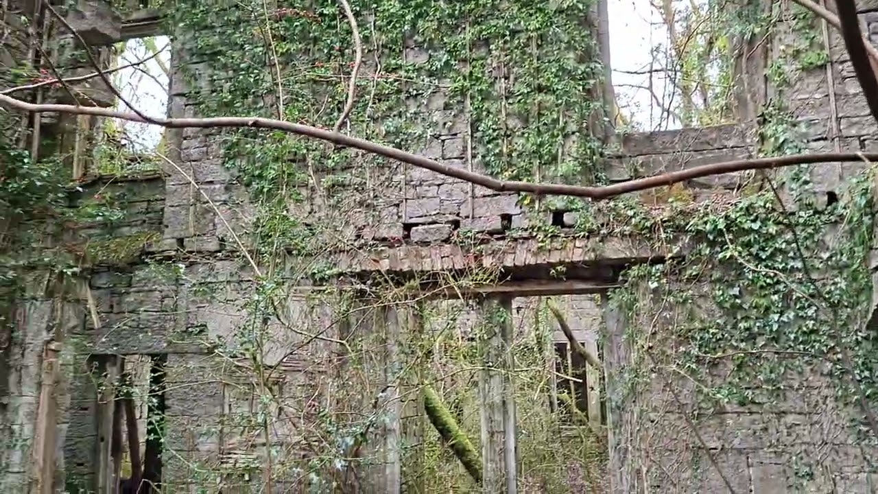 Buchanan Castle 14th February 2026