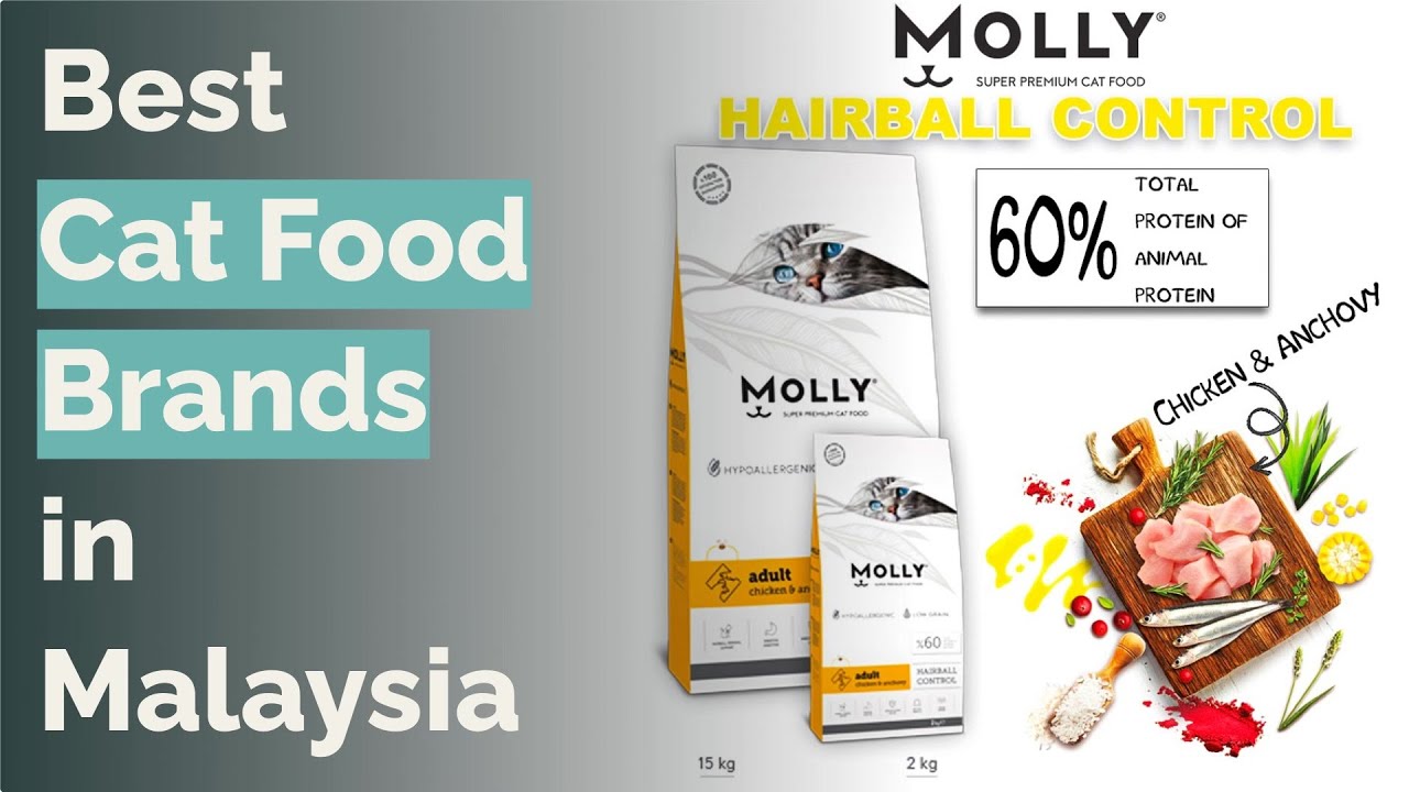 🌵 10 Best Cat Food Brands in Malaysia
