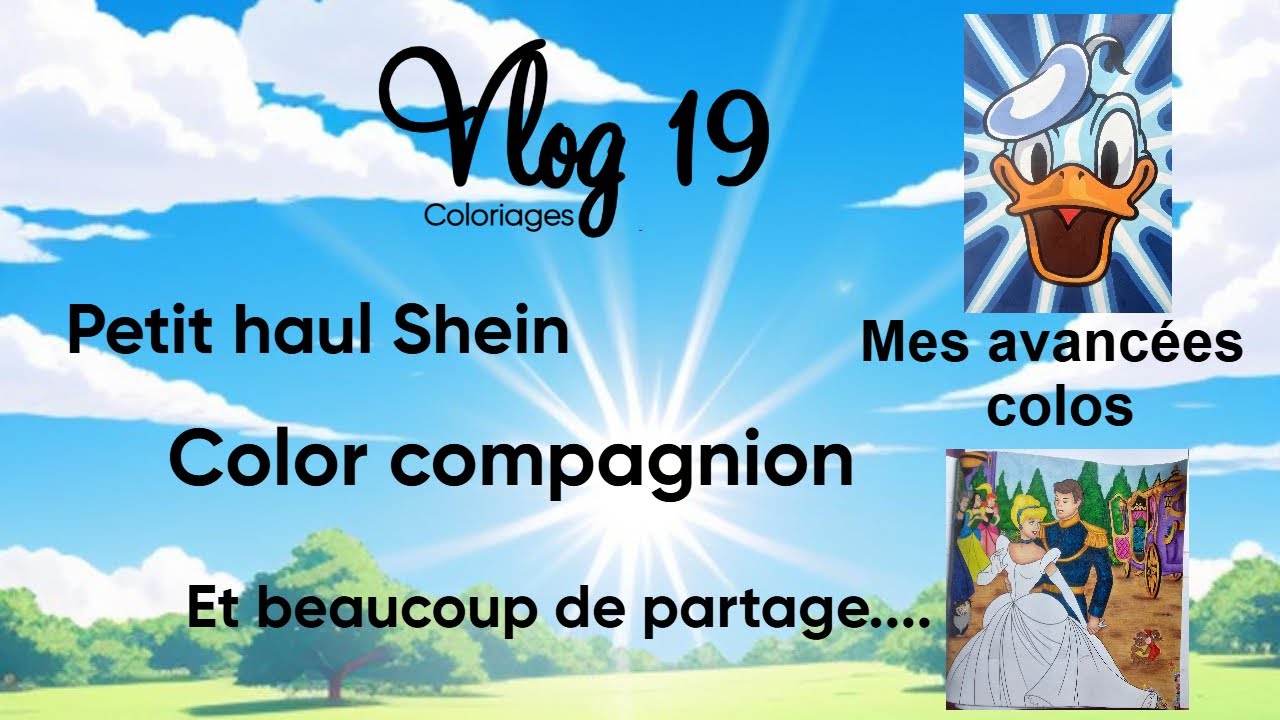 # vlog 19 : Avancées coloriages, petit haul et beaucoup de partages
