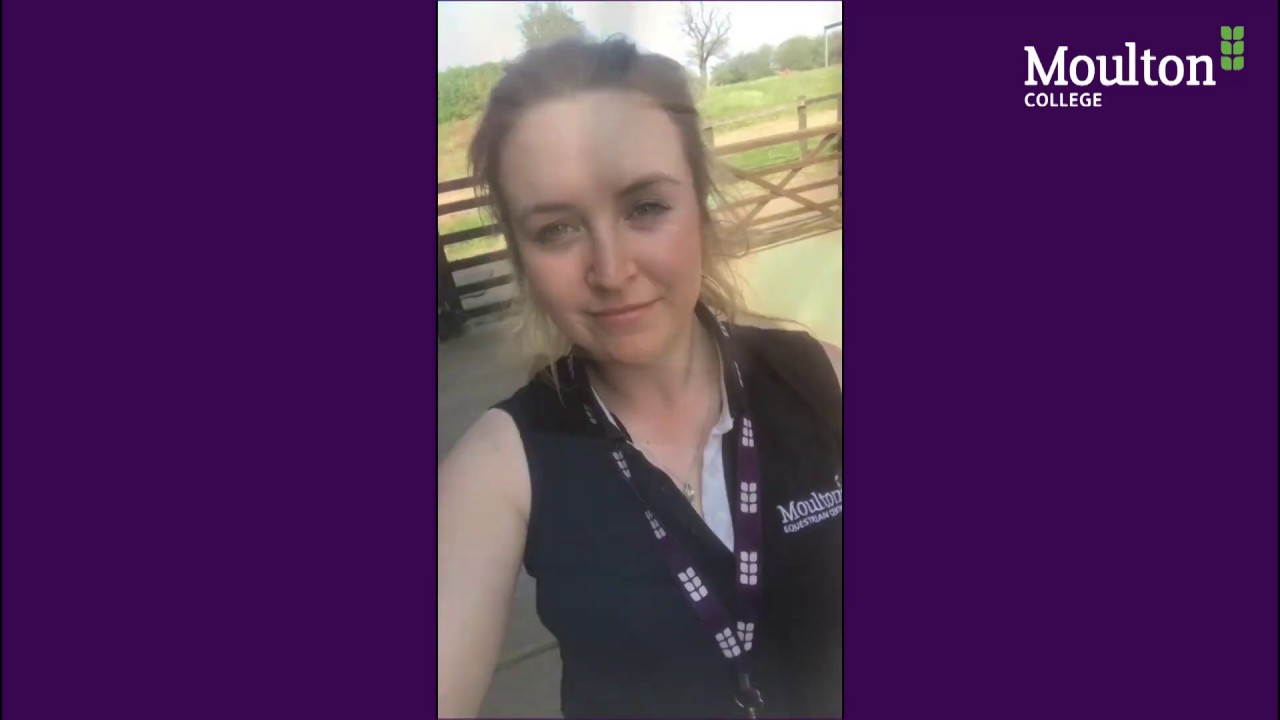 Moulton College Equine Centre Tour with Yard Manager Anna