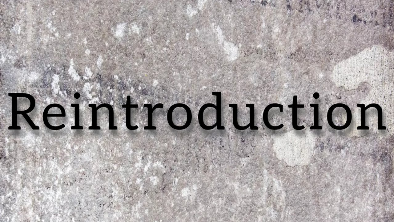 Dcc LuhRay // Reintroduction // Official Audio // Prod.Justbloff