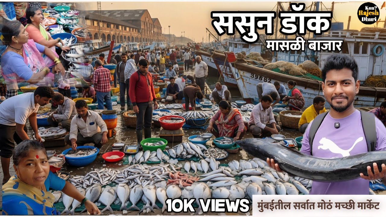 “Documentary | Sassoon Dock Mumbai” | मुंबई कुलाबा मासेमारीचं हृदय