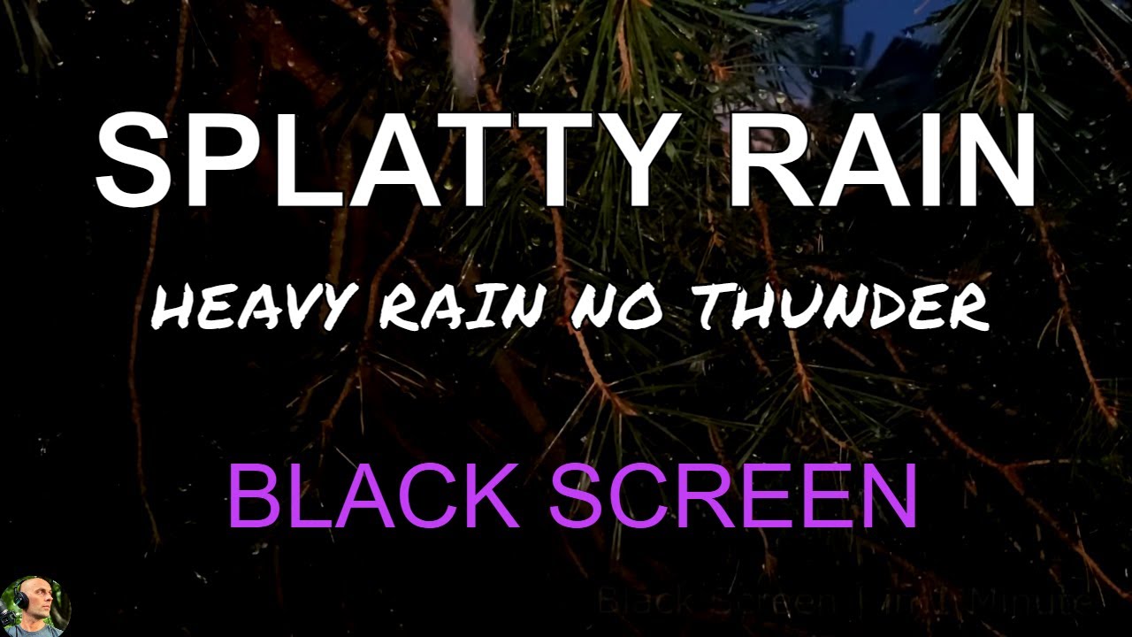 Splatty Night Rain BLACK SCREEN, Rain Sounds For Sleeping, Heavy Rain NO THUNDER by Still Point