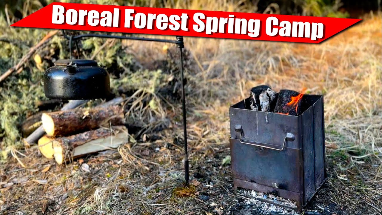 Polaris Ranger 570 SP Northstar Wilderness Spring Camp in the Boreal Forest Canada with my Dog