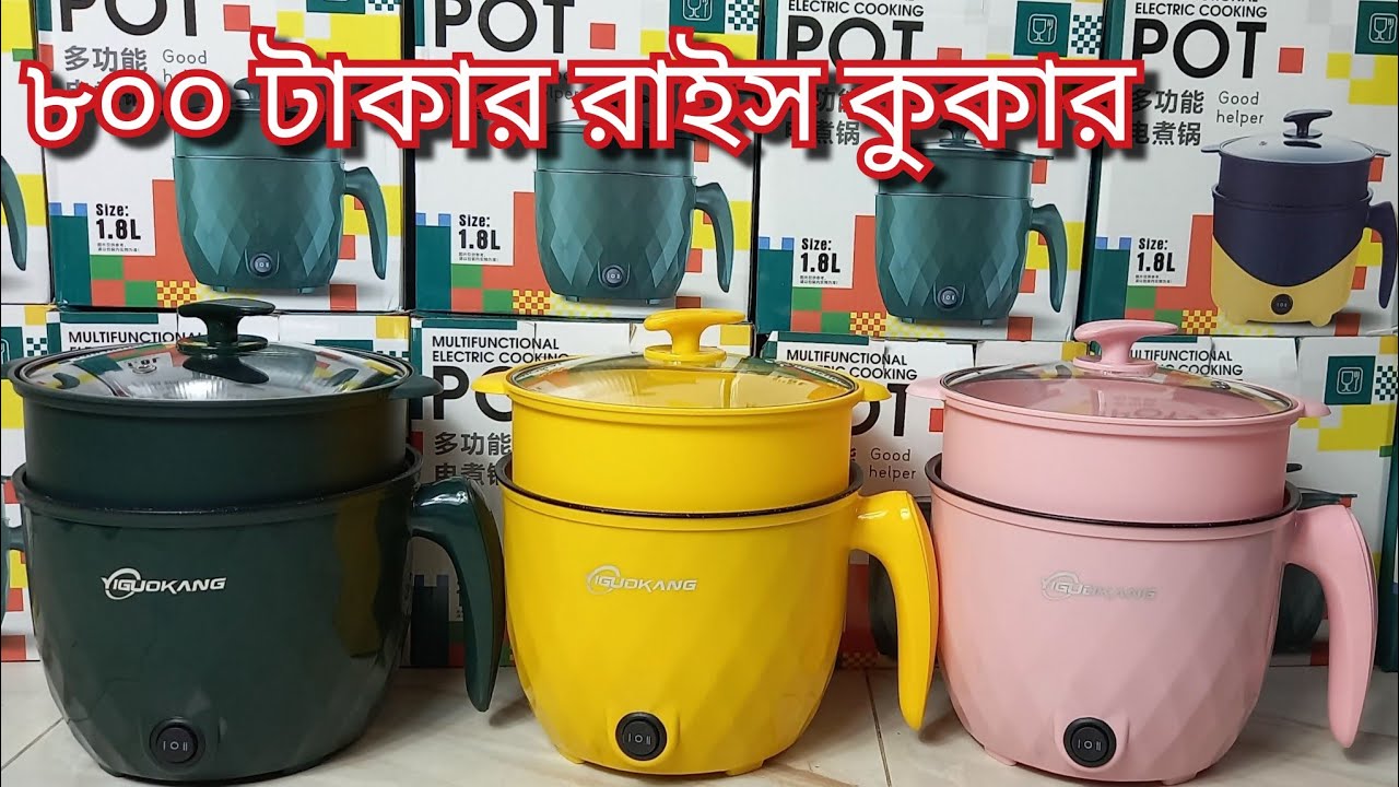৮০০ টাকায় রাইস কুকার😱 | Mini Multi Cooker review|