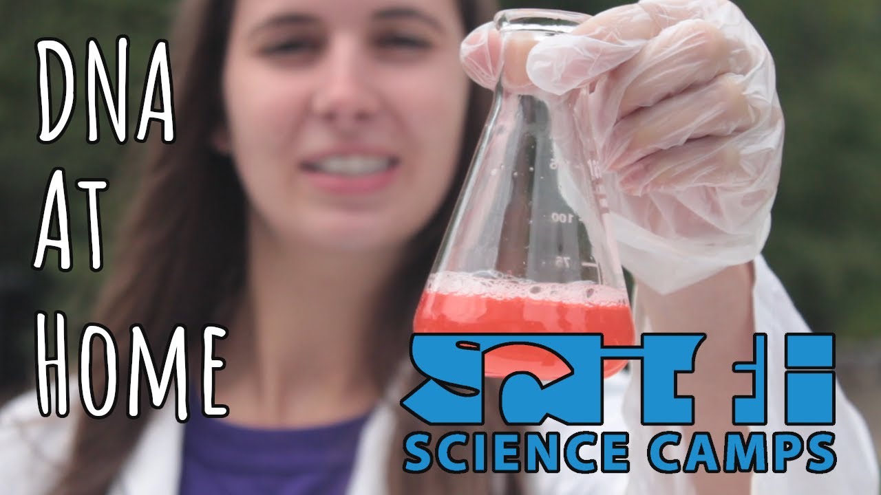Back Yard Science - DNA at Home!