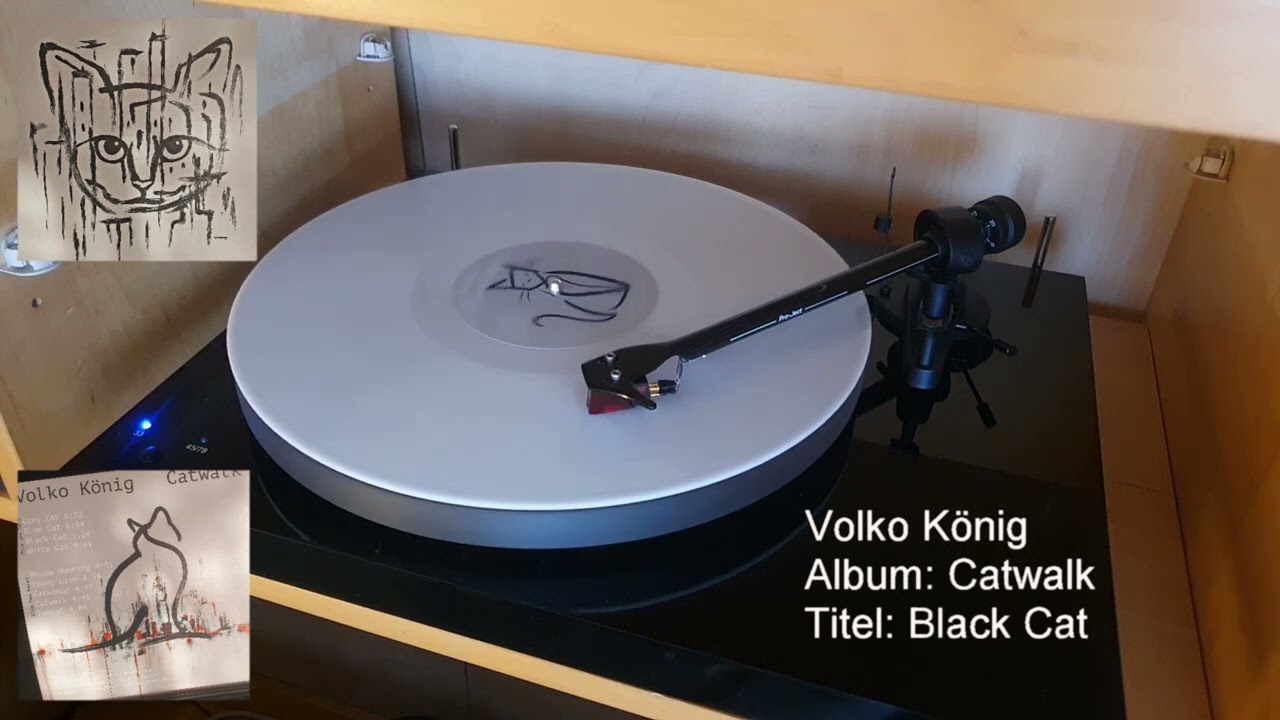 Volko K&ouml;nig - Album: Catwalk - Track 03: Black Cat (David Gilmour + Pink Floyd Style)