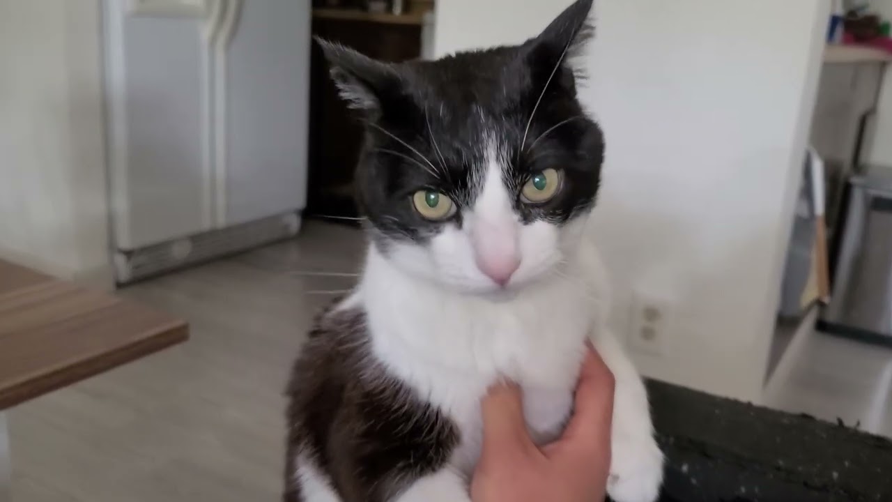 I bite cause I'm a biter