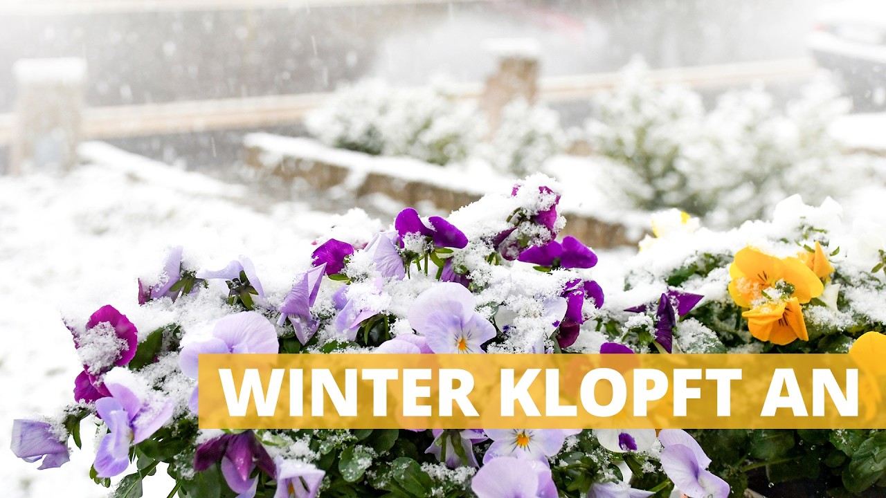 Der Winter klopft an - Wo Schneeflocken fallen