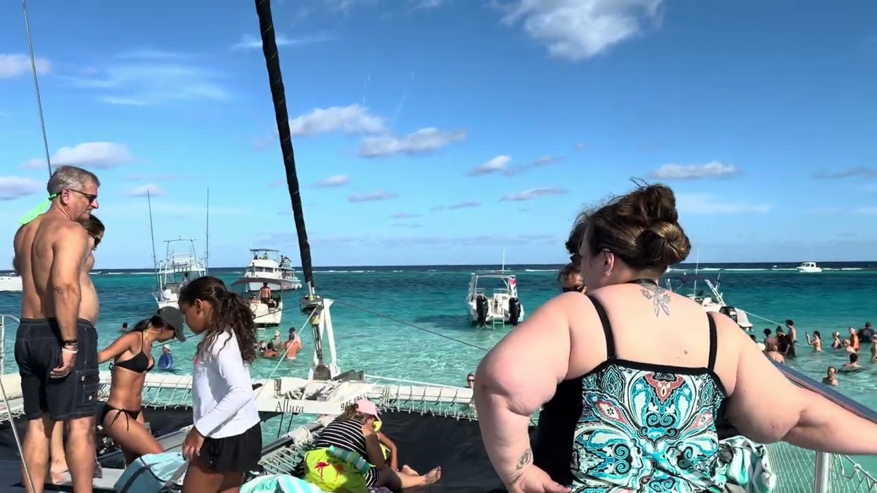 Sting Ray Island video #caymanislands #beach #seacreature 