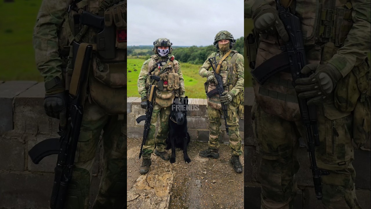 Попав под дождь , ты можешь ..... #army #airsoft #specialforces #teamtraining #military #dogtraining