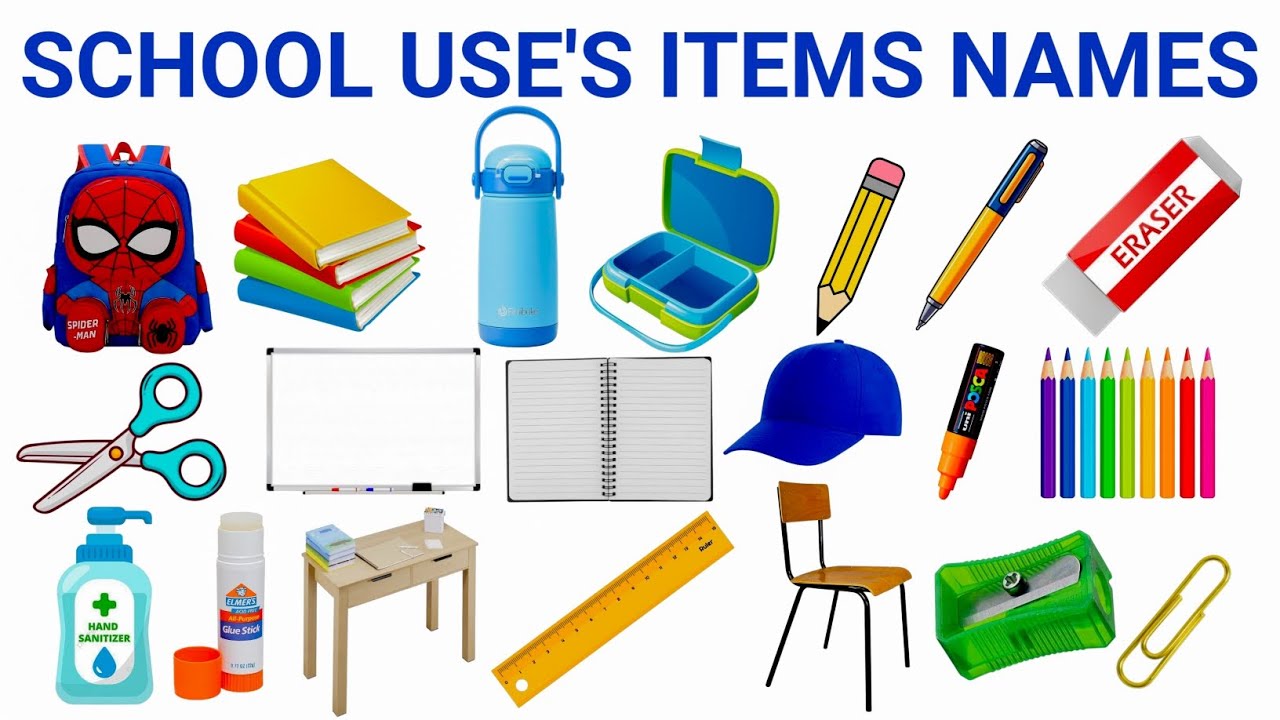 Many Types Of School Supplies Names For Kids 🎒 | Learn Classroom Objects in English | Kids Learned 