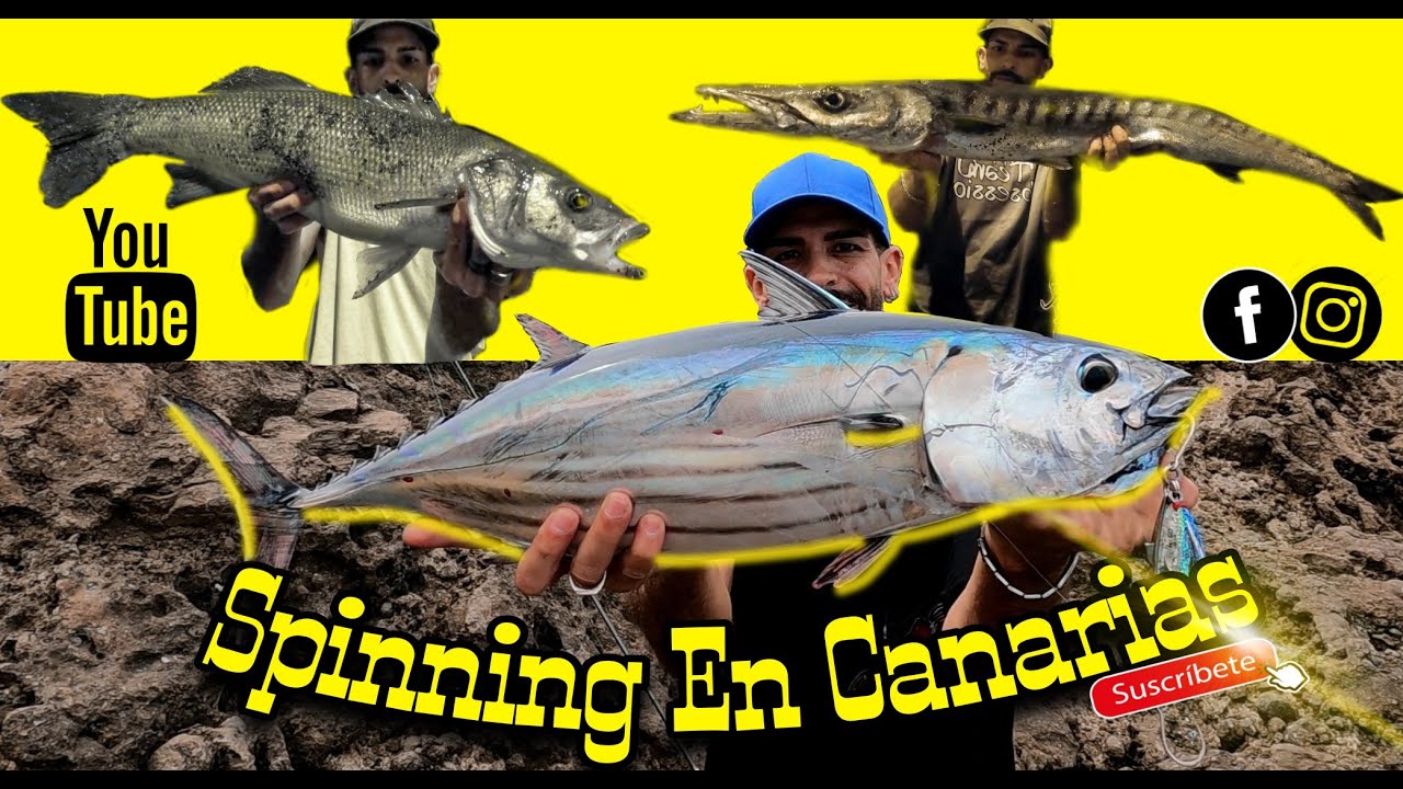 💥🌊Spinning en Canarias🌊💥 Listado (Atún rallado) Lubina, Bicudas, Abades y mucho+🐟 #fishing #pesca